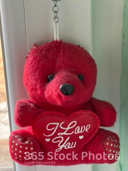 Love Bear 108106763