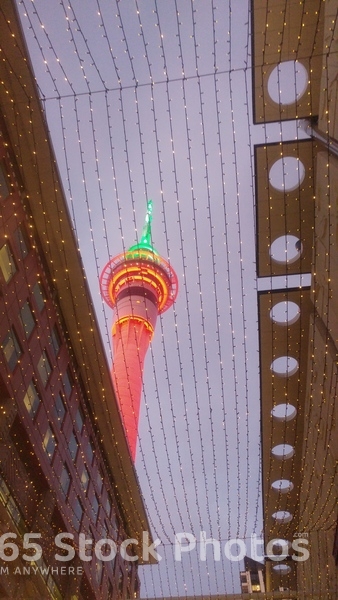 Auckland Tower 108998513